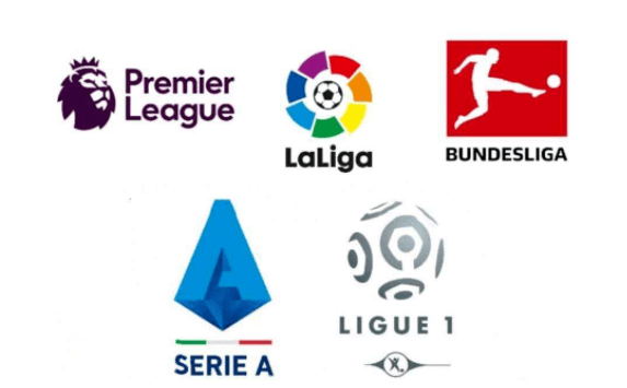 的食品安全 的食品安全